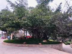 -广州汇华希尔顿逸林酒店