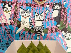 -猫里有甜