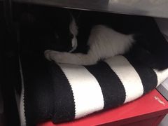 -研途咖啡馆(健康路店)