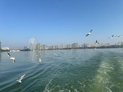 -无锡蠡湖国家湿地公园-蠡园