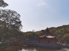 -洲晓鲜·舟山海鲜大排档(朱家尖风景区店)