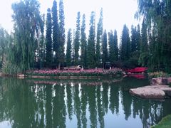 -秀丽东方