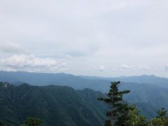 -牛背梁国家森林公园