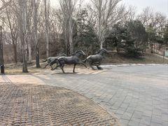 -元大都城垣遗址公园