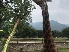 -西安秦岭野生动物园