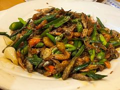 -榕江牛瘪牛肉火锅