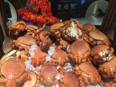 -加餐海鲜自助(宝龙一城店)