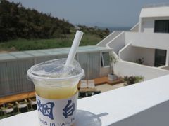 -海岛日记(养马岛店)