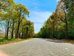 -上海海湾国家森林公园