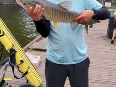 -酷鱼垂钓CLUB(朝阳区博大路店 )