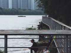 -长白岛森林公园