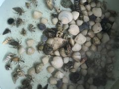 -北海金海湾红树林生态旅游区