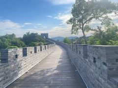 -黄贤森林公园