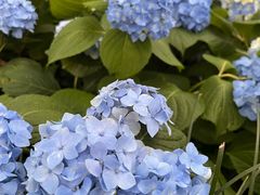 -上海吴淞炮台湾国家湿地公园