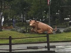 -阿苏山