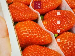 -牛茶·燕窝饮品(SKPS店)