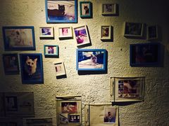 -Sirena海妖日咖夜酒