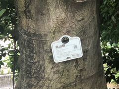 -黄埔军校旧址纪念馆