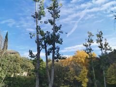 -阿尔罕布拉宫