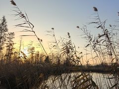 -溱湖国家湿地公园