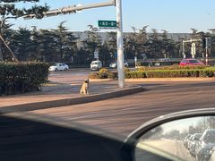 -日照灯塔风景区