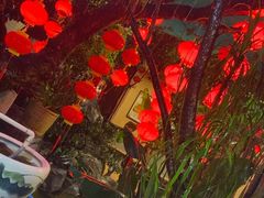 -汇景花园酒家(基立下道店)