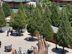 -龙口南山旅游景区