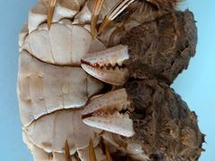 -盒马鲜生(曜一城店)