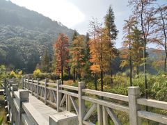 -广州市石门国家森林公园