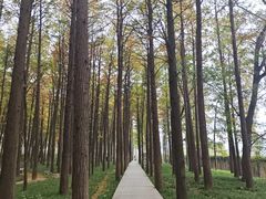-汉水公园