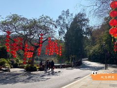 -深圳仙湖植物园