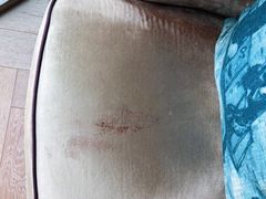 -北京索菲特大酒店