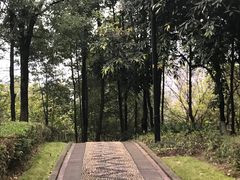 -重庆彩云湖湿地公园