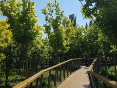 -东郊湿地公园