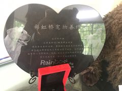 -彩虹桥宠物火化殡葬善终服务(金乐大厦店)