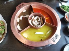 菌王奇香锅-滇釜火锅·能喝汤的火锅(车公庄店)