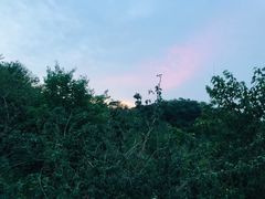 -鬼笑石后山停车场