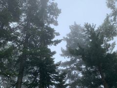 -老秃顶草原景区