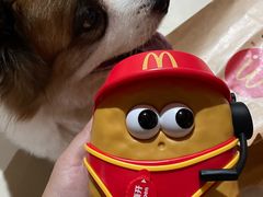 -麦当劳(佛山流行前线店)