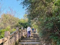 -杭州半山国家森林公园