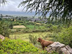 -玉湖村