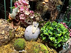 -春风·有糖(崇宁路店)