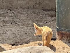 -上海野生动物园