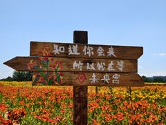 -汉长安城未央宫国家考古遗址公园