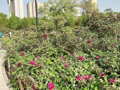 -迎泽公园