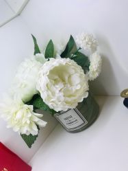 -美肤盾祛痘·问题肌头疗管理中心