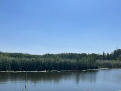 -同里国家湿地公园
