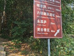 -紫金山山顶公园