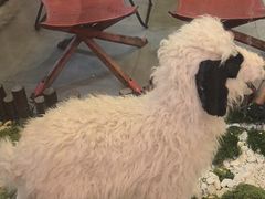 -郭靖·烤全羊·内蒙菜·烧烤(望京旗舰店)