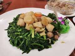 带子扒豆苗-大荣华酒楼(元朗老店)